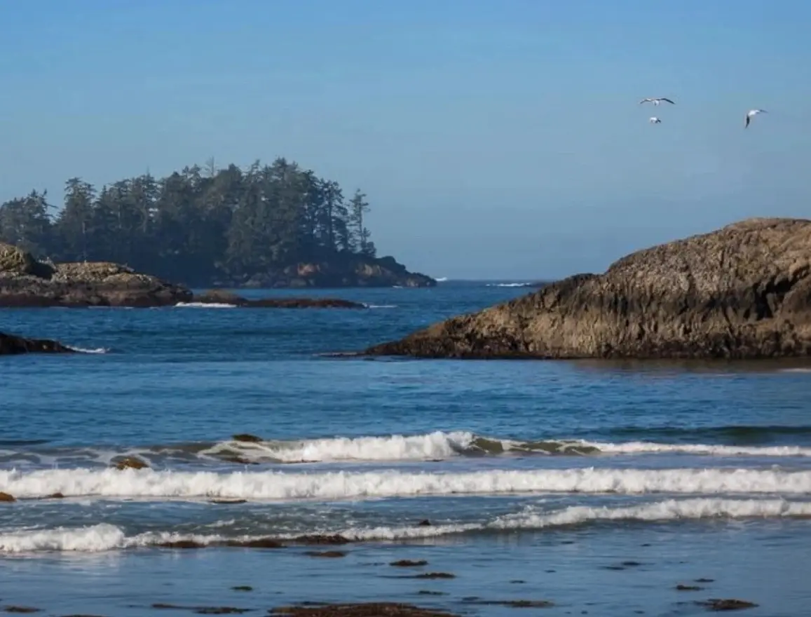 MacKenzie Beach